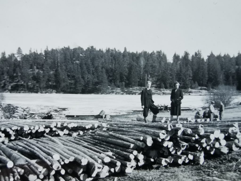 Farfar Gotfred og farmor Brit inspiserer tømmerveltene.